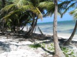 Nice view through the Palm Trees.jpg